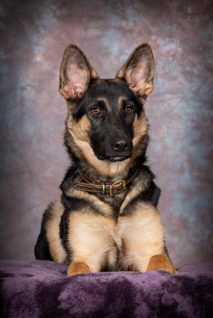 Buddy - Terry Tuttle